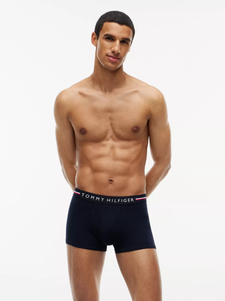 Набір чоловічих трусів Tommy Hilfiger транки 3 шт. 1162945292 (Синій/Сірий M)