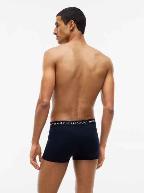 Набір чоловічих трусів Tommy Hilfiger транки 3 шт. 1162945292 (Синій/Сірий M)
