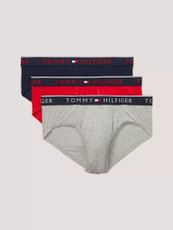 Набор мужских трусов Tommy Hilfiger брифы 1159839765 (Разные цвета L)