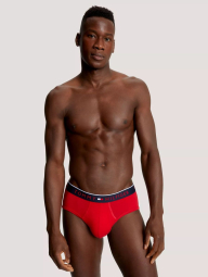 Набор мужских трусов Tommy Hilfiger брифы 1159839765 (Разные цвета L)