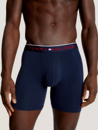 Набор мужских трусов Tommy Hilfiger боксеры 1159839772 (Синий M)