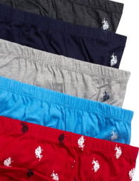 Набор мужских трусов U.S. Polo Assn брифы 1159841651 (Разные цвета L)