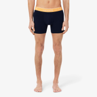 Набор фирменных мужских трусов Lacoste боксеры 1159848273 (Синий L)