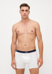 Набор мужских трусов GAP боксеры 1159856603 (Разные цвета L)