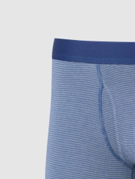 Мужские трусы-боксеры UNIQLO в полоску 1160709842 (Синий M)