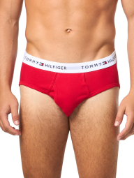 Набор мужских трусов Tommy Hilfiger брифы 4 шт 1161442911 (Разные цвета L)