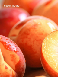 Блиск для губ Victoria's Secret Peach Nectar 1159864233 (Рожевий 13 g)