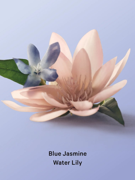 Дезодорант для тела Blue Jasmine Water Lily Victoria’s Secret 1159864246 (Голубой 50 ml)