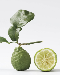 Лосьйон для рук та тіла Daring Victoria's Secret 1159852979 (Зелений 295 ml)