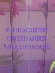 Парфюмированный спрей для тела Blackberry Bite Victoria’s Secret 1159788651 (Сиреневый, 250 ml)