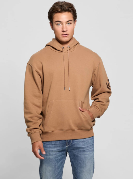 Мужское худи на флисе Guess с капюшоном 1159849979 (Коричневый XXL)