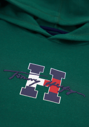 Детское худи на флисе Tommy Hilfiger с логотипом 1159841281 (Зеленый XL)