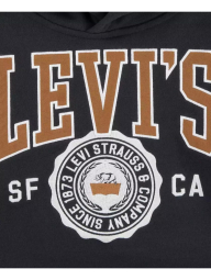 Дитяче худі Levi's з логотипом на флісі 1159842084 (Сірий 2T)