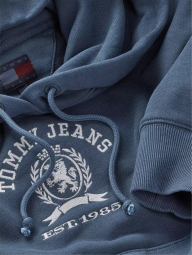 Женское худи Tommy Hilfiger с капюшоном 1159845316 (Синий M)