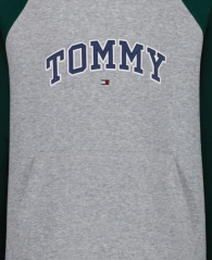 Детское худи на флисе Tommy Hilfiger с логотипом 1160199591 (Серый/Зеленый L) на рост 150-152 см