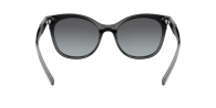 Солнцезащитные очки Emporio Armani 1159809068 (Черный, One size)