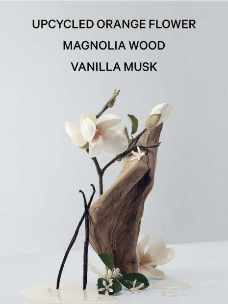 Парфюмированный мист для тела Bare Magnolia Fine Fragrance от Victoria’s Secret 1159829430 (Прозрачный 250 ml)