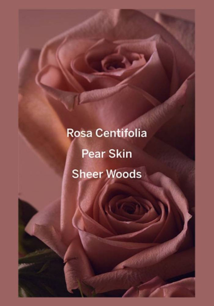 Женский мини парфюм-спрей Bare Rose от Victorias Secret духи 1159830363 (Белый 7 ml)