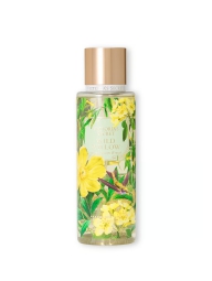 Набір для тіла Wild Willow Victoria&#39;s Secret міст та лосьйон 1159827557 (Зелений 236 ml/250 ml)