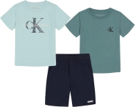 Детский комплект Calvin Klein футболки и шорты 1159801177 (Разные цвета, 4Т)