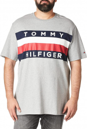 Футболка мужская Tommy Hilfiger с логотипом 1159763413 (Серый, L)