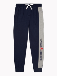 Мужские спортивные штаны Tommy Hilfiger джоггеры 1159765556 (Синий, L)
