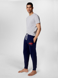 Мужские джоггеры Tommy Hilfiger спортивные штаны 1159787414 (Синий, L)